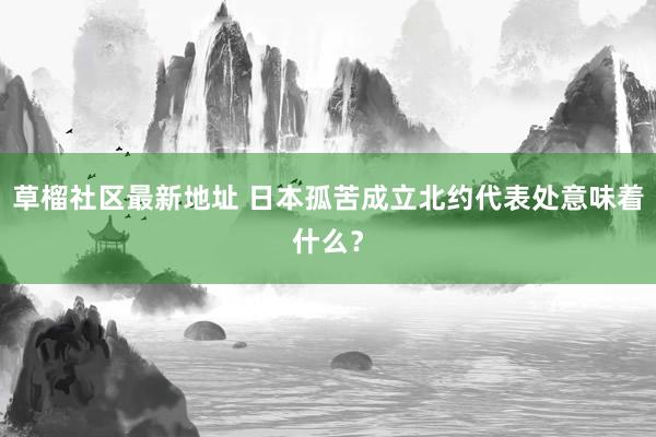 草榴社区最新地址 日本孤苦成立北约代表处意味着什么？